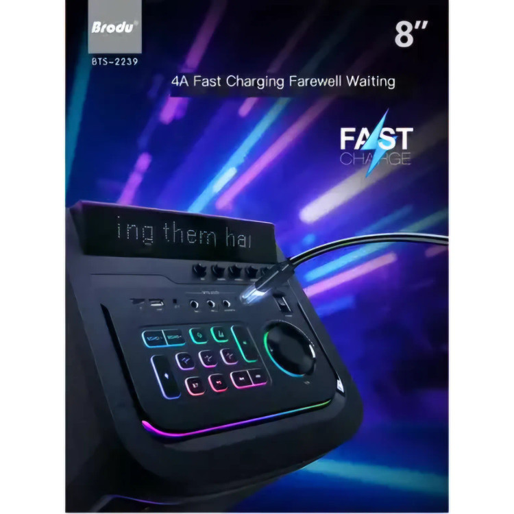 اسپیکر بلوتوثی قابل حمل برودو مدل BTS-2239